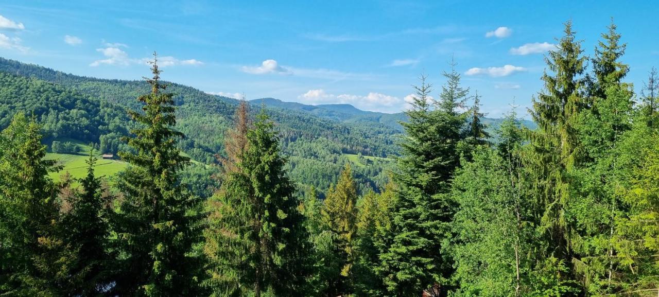 Chata Linia Kokava nad Rimavicou Dış mekan fotoğraf