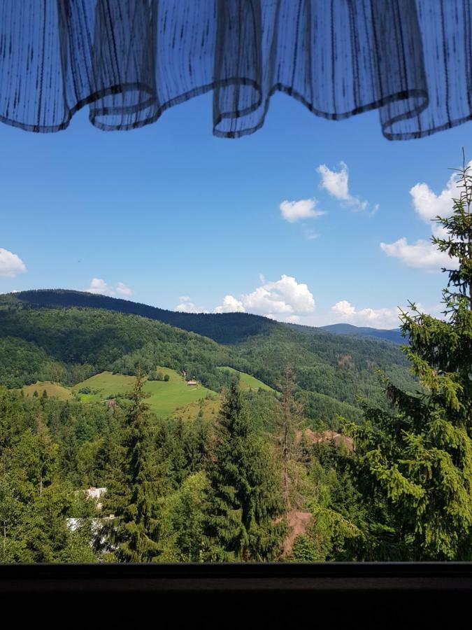Chata Linia Kokava nad Rimavicou Dış mekan fotoğraf
